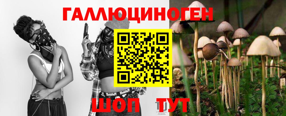 где можно купить   Галлюциногенные грибы мицелий  Вход с VPN  Тосно 